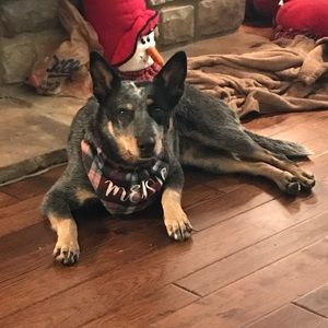 Meet your Posher, Jan